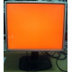 Монитор 19" TFT HP 1955 (DVI в Пскове, USB-хаб) "квадратный" (Псков)