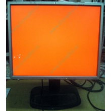 Монитор 19" TFT HP 1955 (DVI в Пскове, USB-хаб) "квадратный" (Псков)