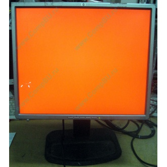 Монитор 19" TFT HP 1955 (DVI в Пскове, USB-хаб) "квадратный" (Псков)
