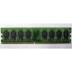 Модуль оперативной памяти 4096Mb DDR2 Patriot PSD24G8002 pc-6400 (800MHz)  (Псков)