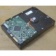 Жесткий диск HP 250Gb 7200 rpm 432337-001/ 399699-001 / 397377-004 (Псков)