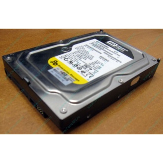 Жесткий диск 160Gb WD WD1602ABKS SATA (Псков)