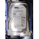 Б/У жёсткий диск Dell SATA (WD WD1601ABYS 7200 rpm) 3.5" HDD (Псков)