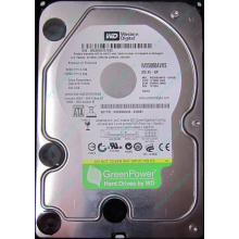 Б/У жёсткий диск 500Gb Western Digital WD5000AVVS (WD AV-GP 500 GB) 5400 rpm SATA (Псков)