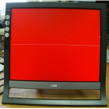 Монитор 17" TFT Sony SDM-HS75 (Псков)