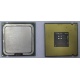 Процессор Intel Celeron D 336 (2.8GHz /256kb /533MHz) SL98W s.775 (Псков)