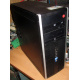 БУ компьютер HP Compaq Elite 8300 (Intel Core i3-3220 (2x3.3GHz HT) /4Gb /250Gb /ATX 320W) - Псков