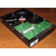 Жесткий диск 500Gb HP 634605-003 613208-001 WD WD5000AAKX 7.2k SATA (Псков)