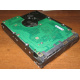 Жесткий диск 300Gb 15k Seagate Cheetach ST3300656SS 15K.6 Dell 9CH066-050 6G SAS (Псков)